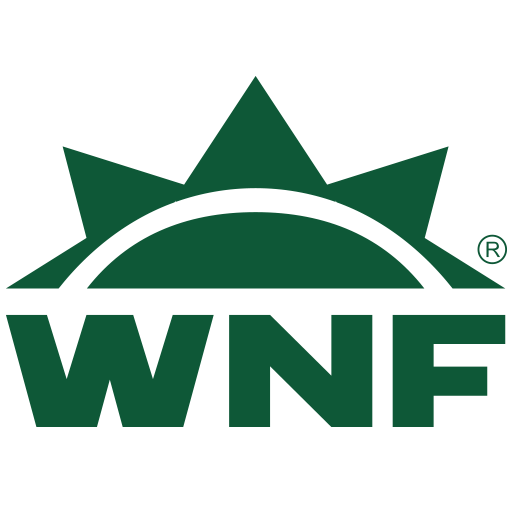 Blog WNF